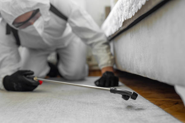 Professional Pest Control technician working in Independence, VA