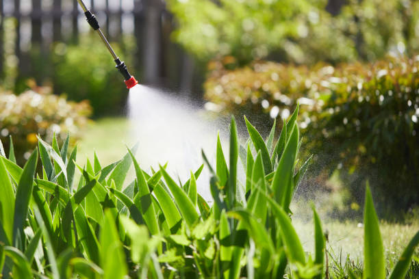 24/7 Emergency Pest Control experts in Independence, VA